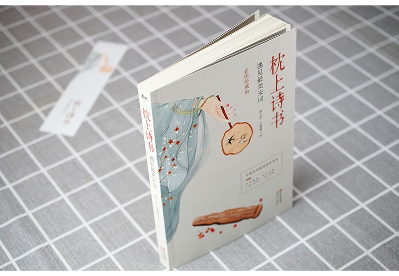 枕上诗书彩图珍藏版古诗词阅读欣赏中国诗词大会经典诗词精选一本读懂