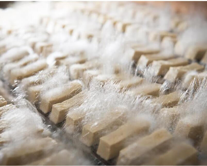 毛霉菌粉做毛豆腐菌粉霉千张霉豆渣毛豆腐20g菌豆腐乳臭豆腐菌粉20g