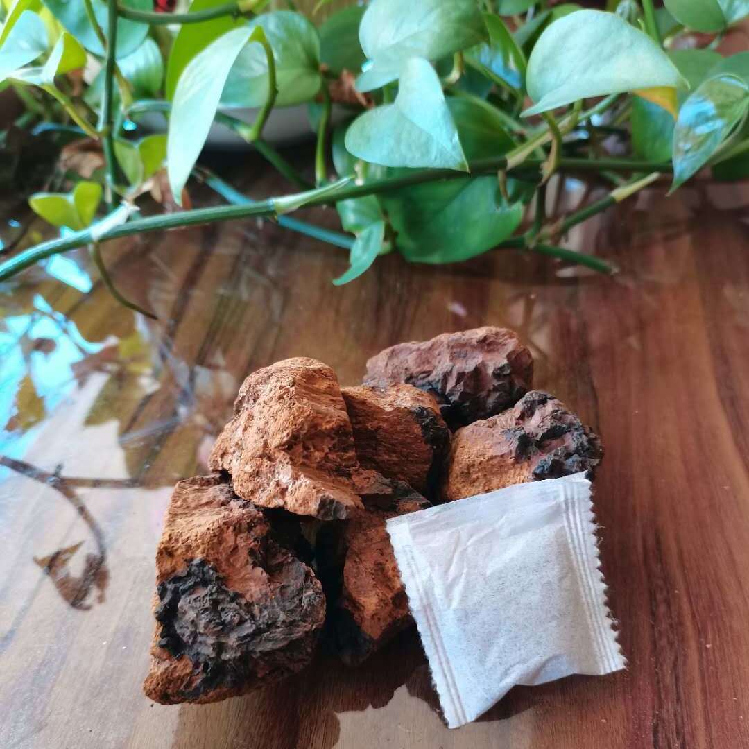 伟博俄罗斯桦树茸精粉包天然胰岛素血糖低温破壁除菌1盒20小包桦树茸