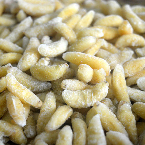 新鲜活体速冻马蜂蛹胡蜂地蜂虎头蜂黄蜂泡酒500g蜂蜜 一级大蜂蛹500g