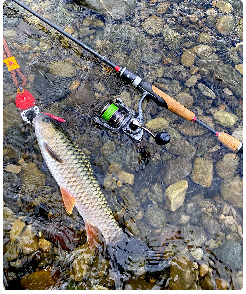 品钓 迷你控鱼器甲壳虫路亚钳小鱼控鱼器夹鱼器铝合金 普通款红色迷你