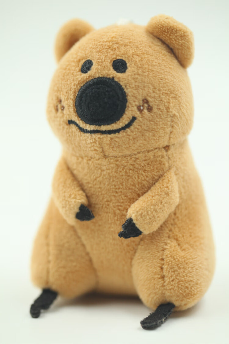 柿子椒熊 假发柿子椒椒熊创意熊熊毛绒公仔可爱丑萌玩偶戴假发配饰