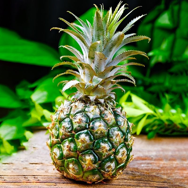 云南蜜香菠萝9斤5斤装热带水果新鲜水果凤梨青皮菠萝酸甜3斤2斤九斤