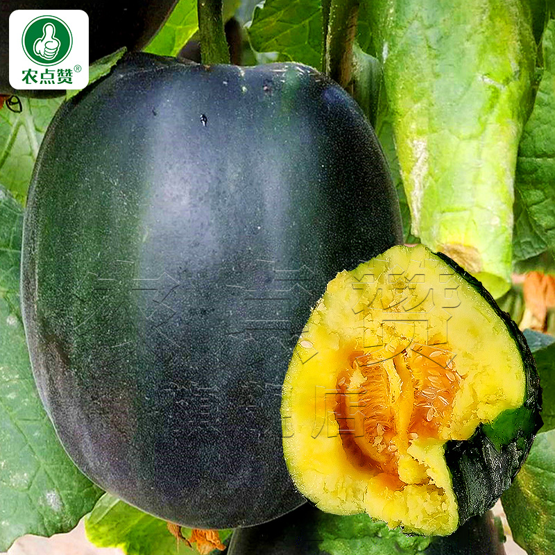农点赞黑皮面瓜种子高产超甜甜瓜籽瓜果种子沙面香瓜春秋四季水果蔬菜