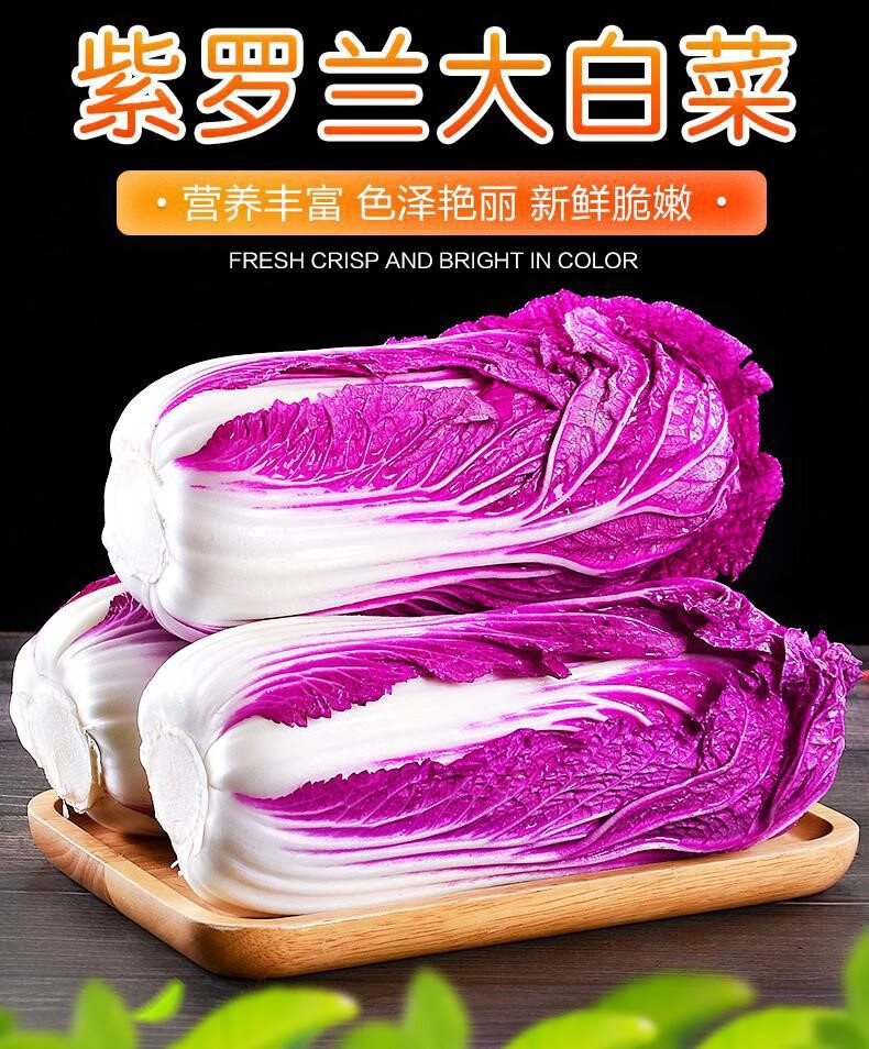 香馜新鲜紫罗兰山东大白菜5斤 农家自种紫色包心娃娃菜蔬菜特产 1500g