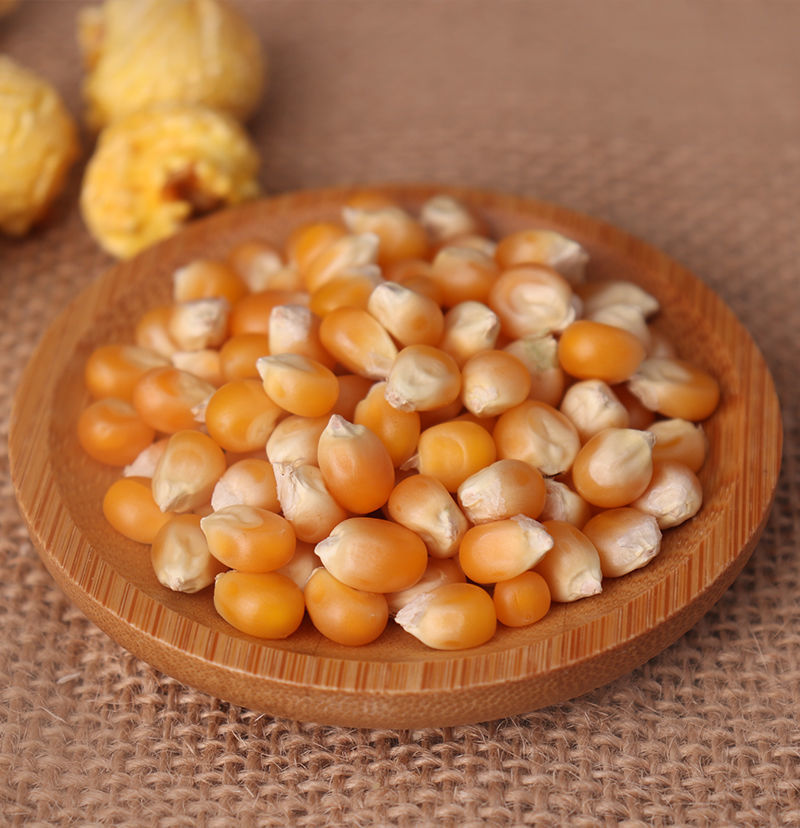 爆米花玉米粒 球形爆裂小玉米粒爆米花自产原料家庭商用 球形爆米花粒
