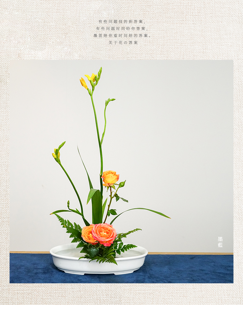 高山羊齿叶池坊小原流花道中式日式插花花材自由写景造型装饰材料