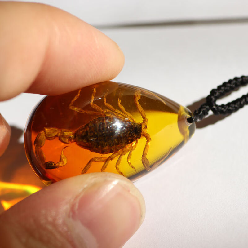 情冰天然蝎子人工琥珀项链真昆虫标本吊坠创意装饰品生日节日礼物渐变