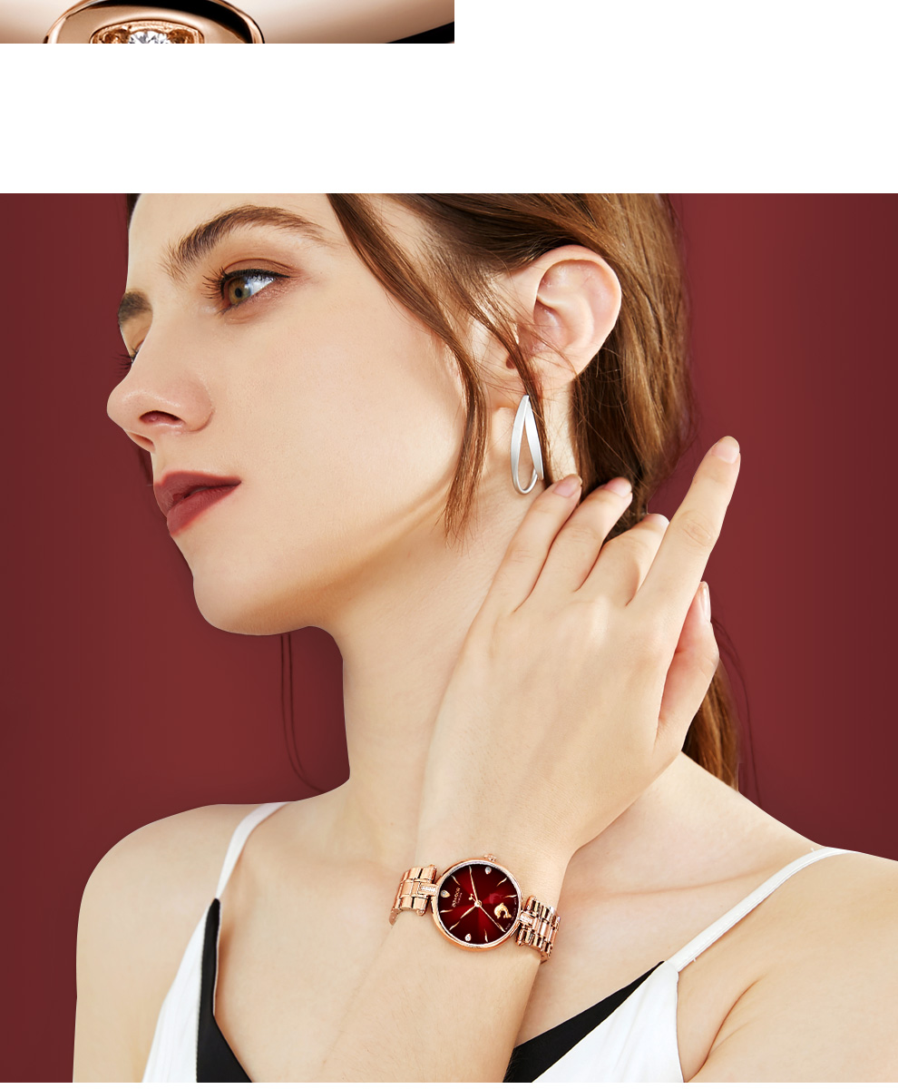 宝舵表bowdor手表海豚音系列女表防水钢带进口石英机芯钟表女国表时尚