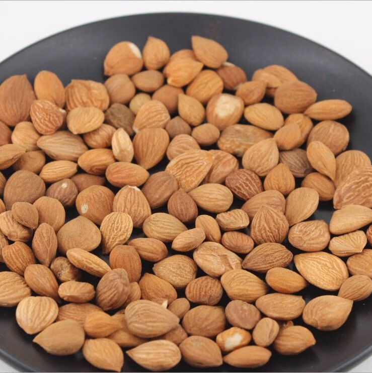 苦杏仁药用有皮苦杏仁100克500克坚果野生山杏仁杏仁中药材北杏仁 100