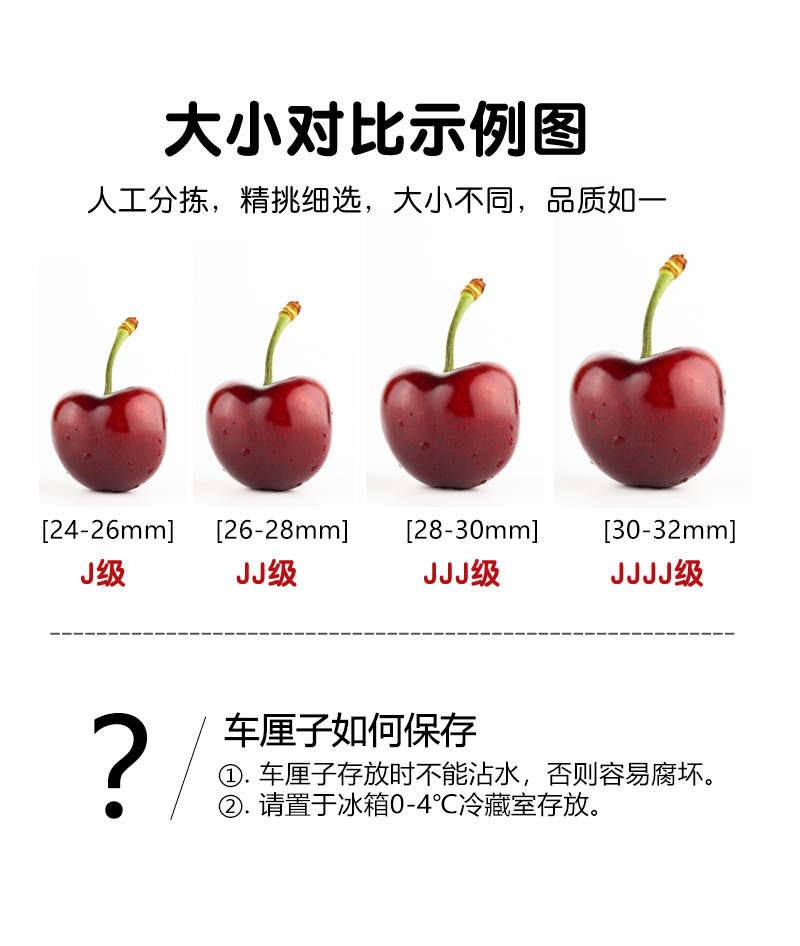 国产山东大樱桃车厘子大果应季新鲜水果车厘子生鲜 樱桃 10斤装 j级