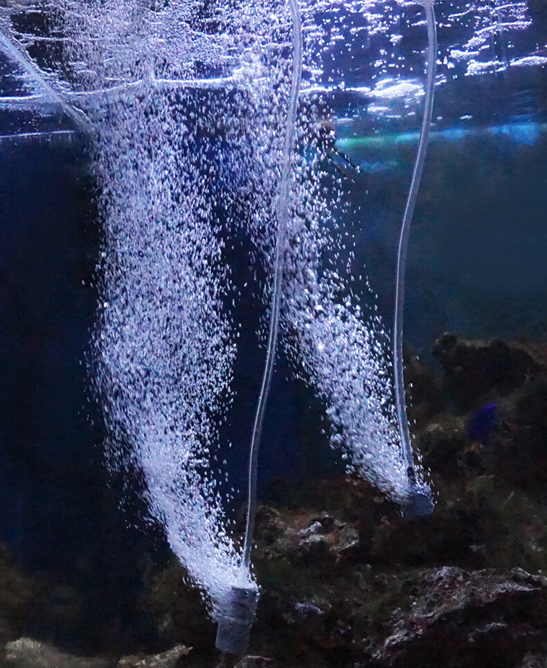 鱼缸氧气条鱼缸鱼池水族箱增氧充氧气泡条气泡石气饼彩色小气石条大全