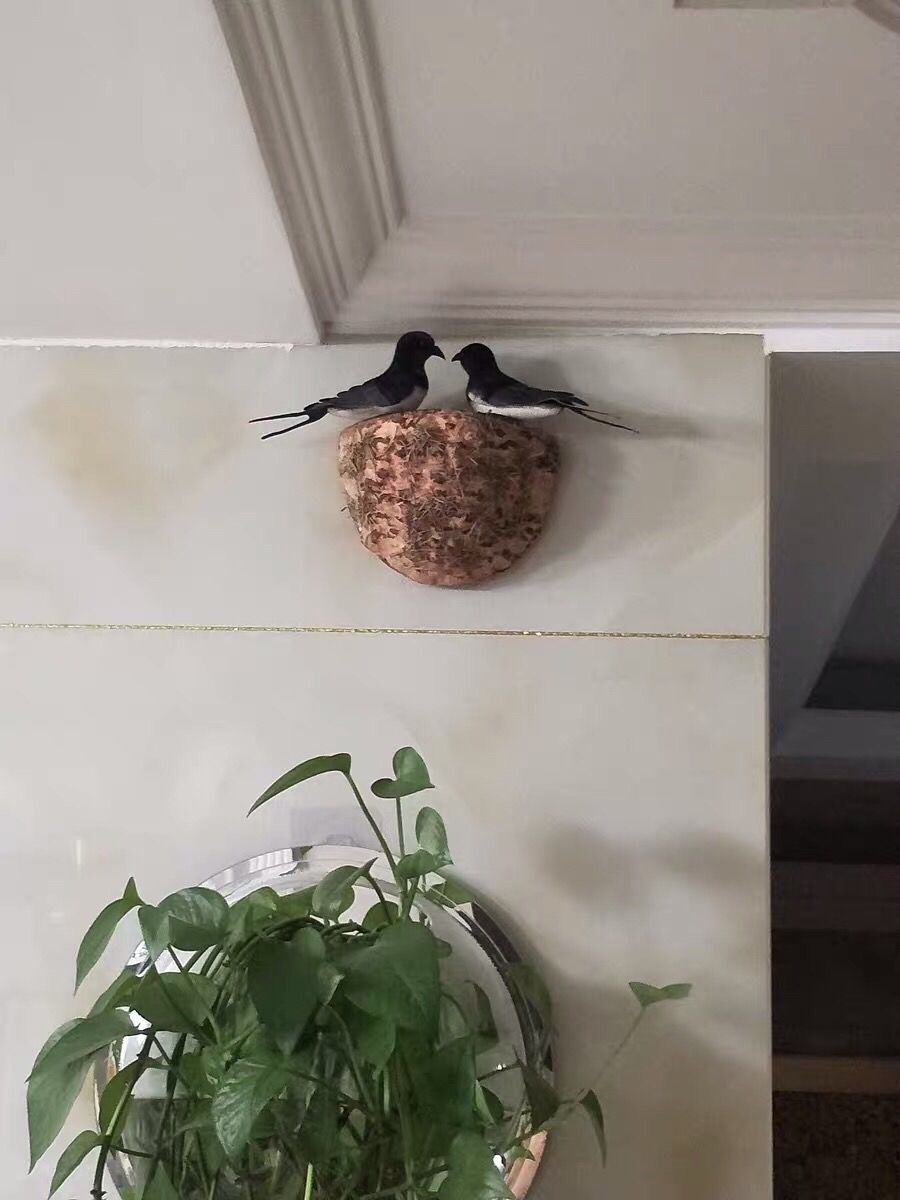 2022新款墙壁装饰挂件仿真燕子春季装饰品家居装饰仿真小鸟燕窝燕巢