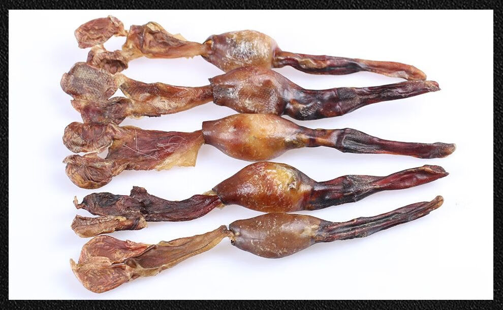 黄狗鞭黄狗肾泡酒鞭新鲜干狗鞭泡酒料狗鞭中药材鞭滋补鞭泡酒炖汤