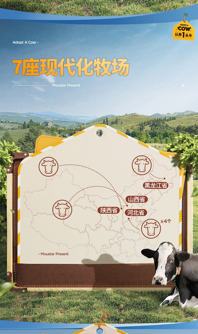 认养一头牛 常温风味酸奶 200g*12盒*2箱 图9
