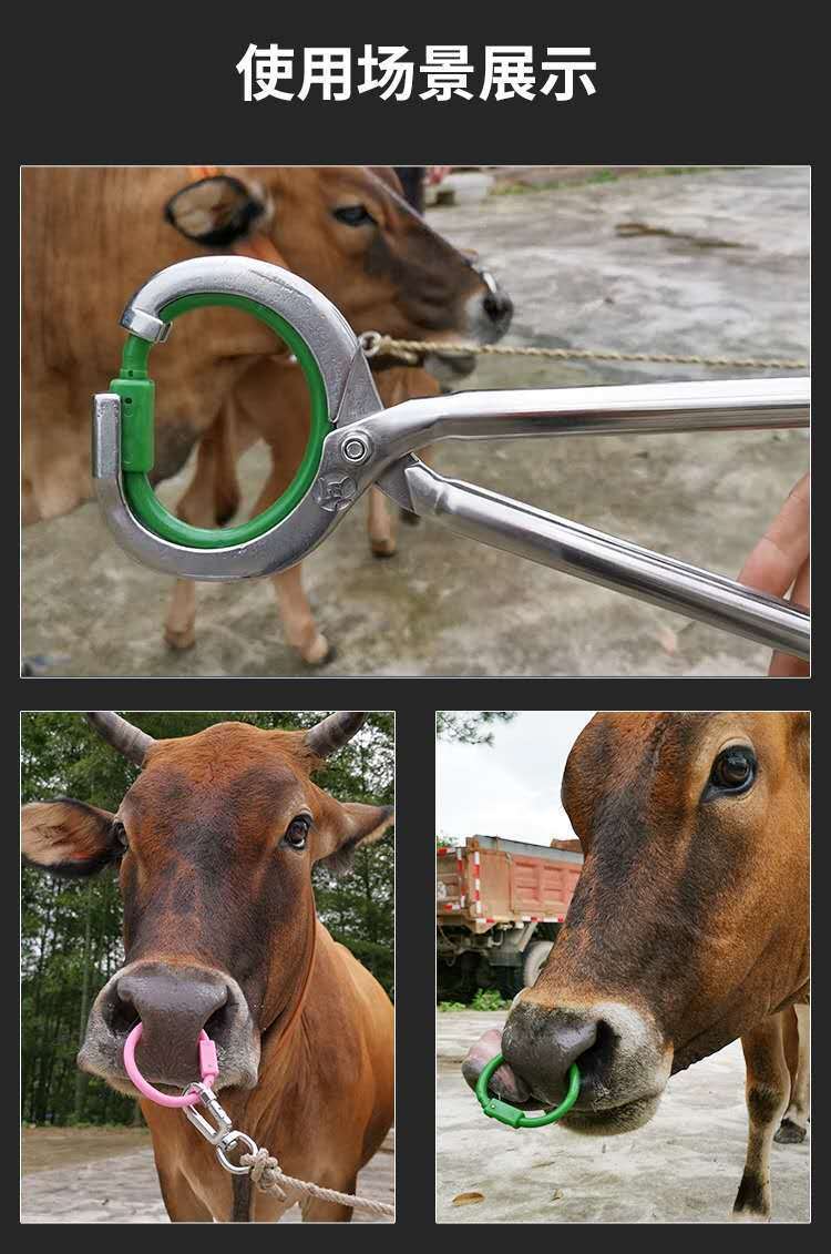 【京选推荐】牛鼻环牛鼻圈牛鼻子牵引扣牛用养殖安装钳打孔器械穿孔针