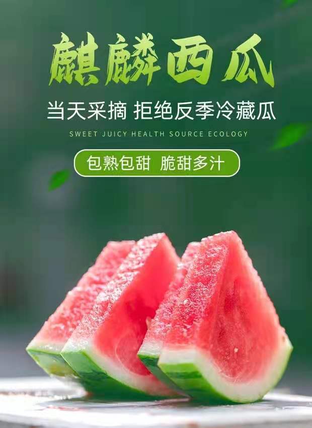 新鲜现摘超甜8424西瓜冰糖麒麟美都水果当季新鲜时令超甜营养瓜果a