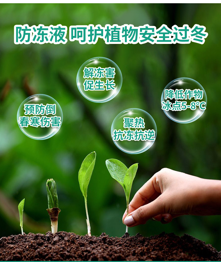 植物防冻剂防冻液抗冻防寒果树苗木花卉抗冻剂秋冬季抗低温防寒4kg瓶
