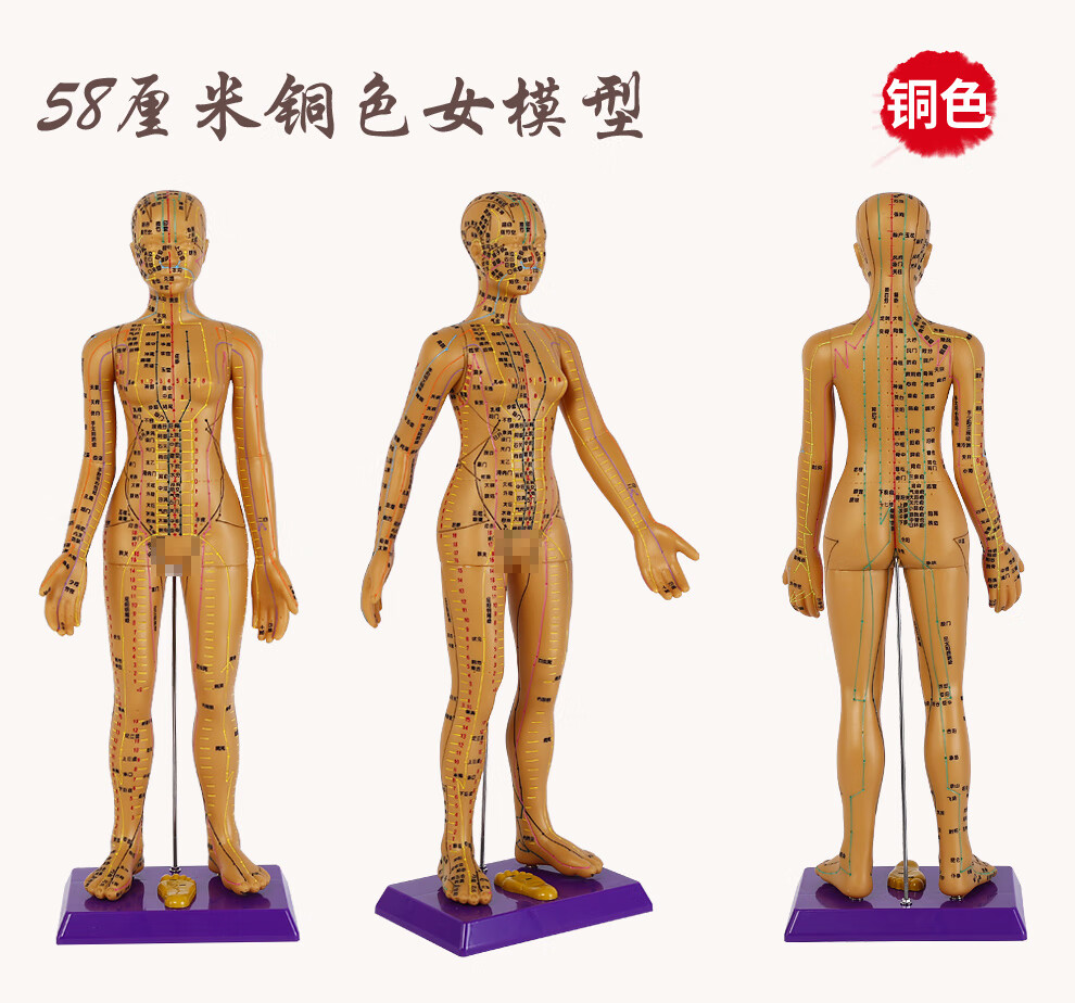 中医经络图针灸铜人模型全身男女小人铜人超清晰刻字版 人体穴位模型