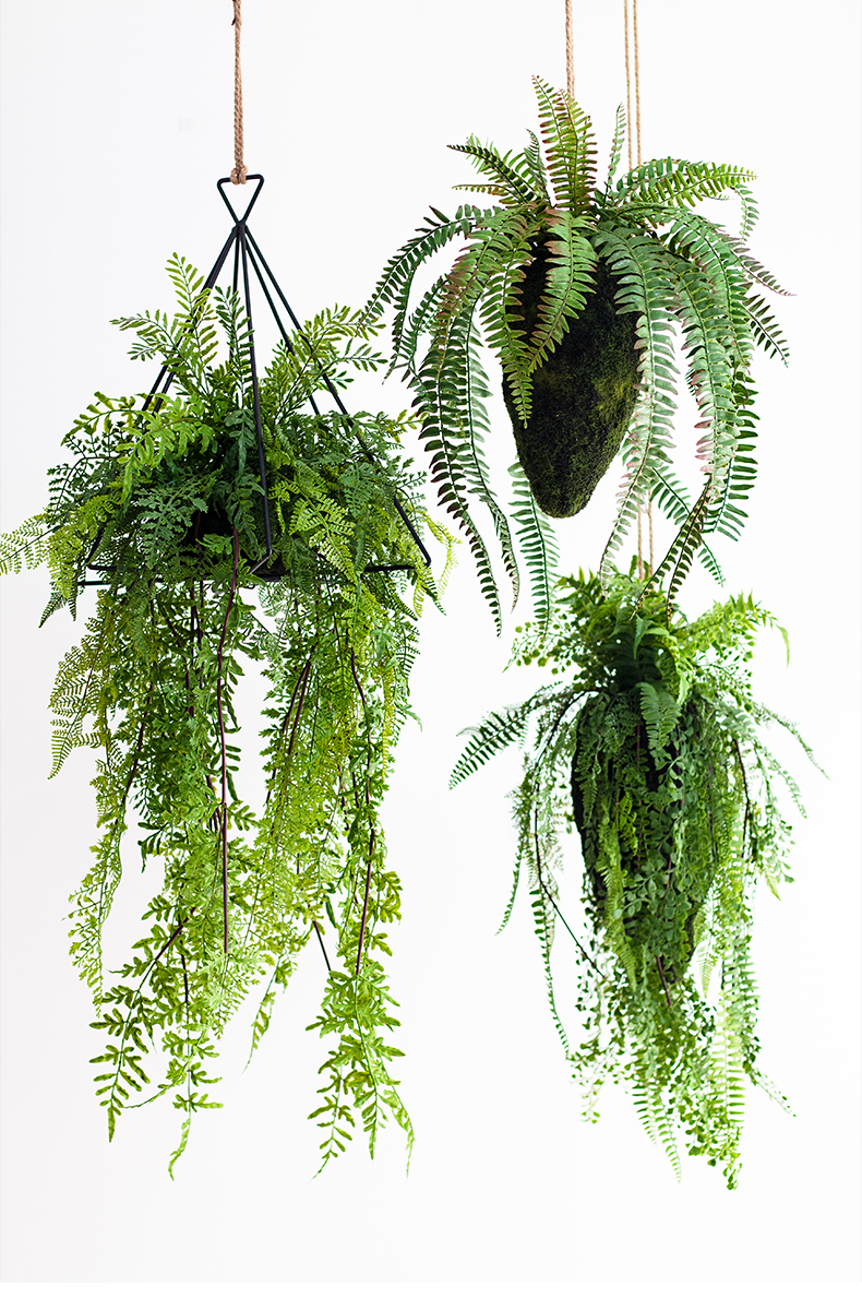 仿真蕨类植物吊球吊顶垂吊波斯蕨吊篮壁挂装饰绿植盆栽森系摆件 森系
