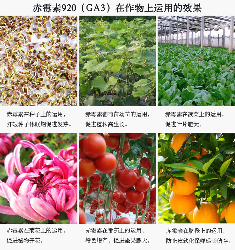 赤霉素920ga3植物生长激素调节剂促生长催芽保花保果原药99赤霉素ga3