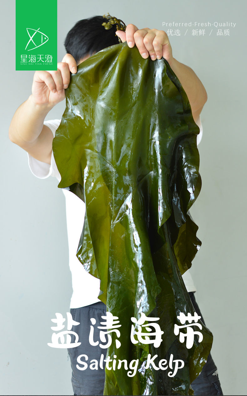 净重五斤整条盐渍海带盐渍整条海带福建海带海带叶海带盐渍出口级海带