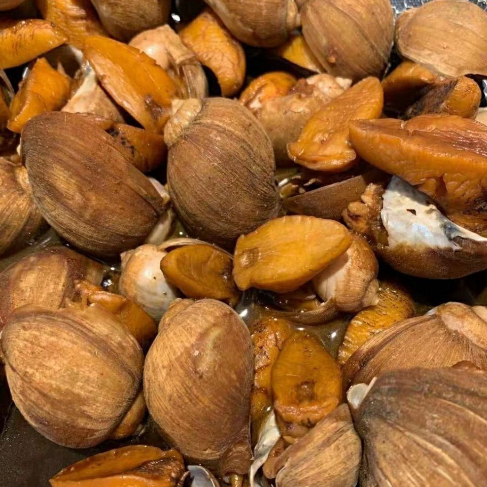 鲍螺老婆脚假鲍鱼鲜活无沙海蜗牛熟冻带壳大脚螺新鲜海鲜贝类半斤装不