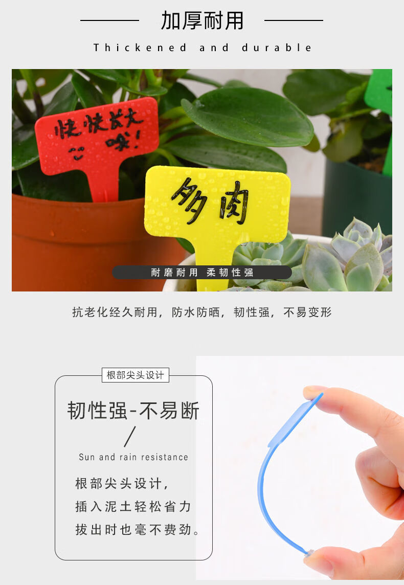 【好物推荐】正霖园艺标签牌多肉标签标识t型花卉标签植物名字记录