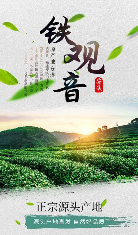 新春茶安溪铁观音产地直销清香型浓香型兰花香茶叶礼盒装500g 清香型