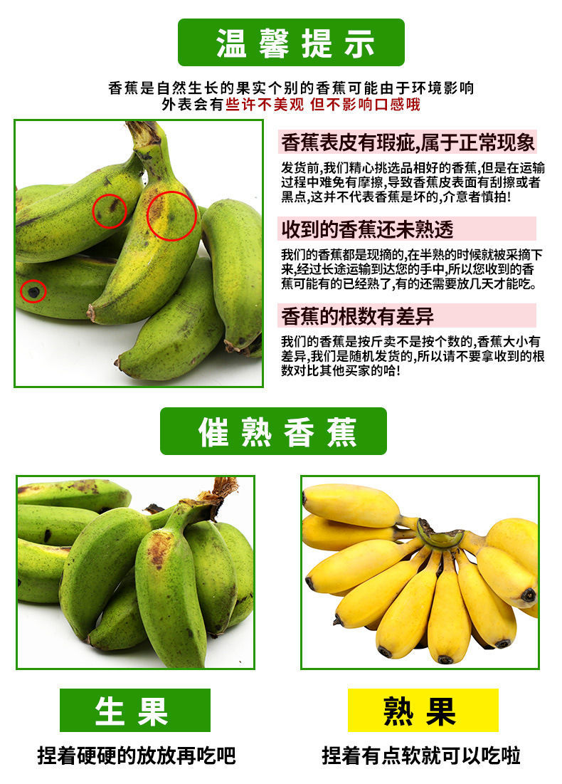 广西苹果蕉粉蕉西贡蕉新鲜香蕉359斤非广东海南小米蕉芭蕉整箱金粉