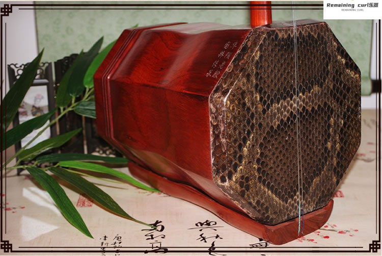 专业红木二胡 戏曲专用低音红木二胡乐器 演奏级低音二胡 图片色