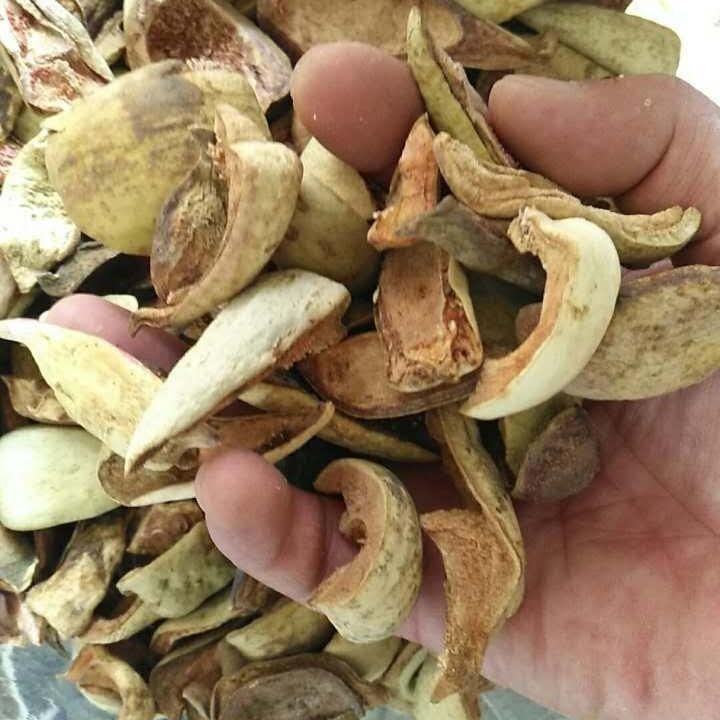 有仁堂南京原料 中药材 王不留行壳 王不留行 王不留行果250克1000克