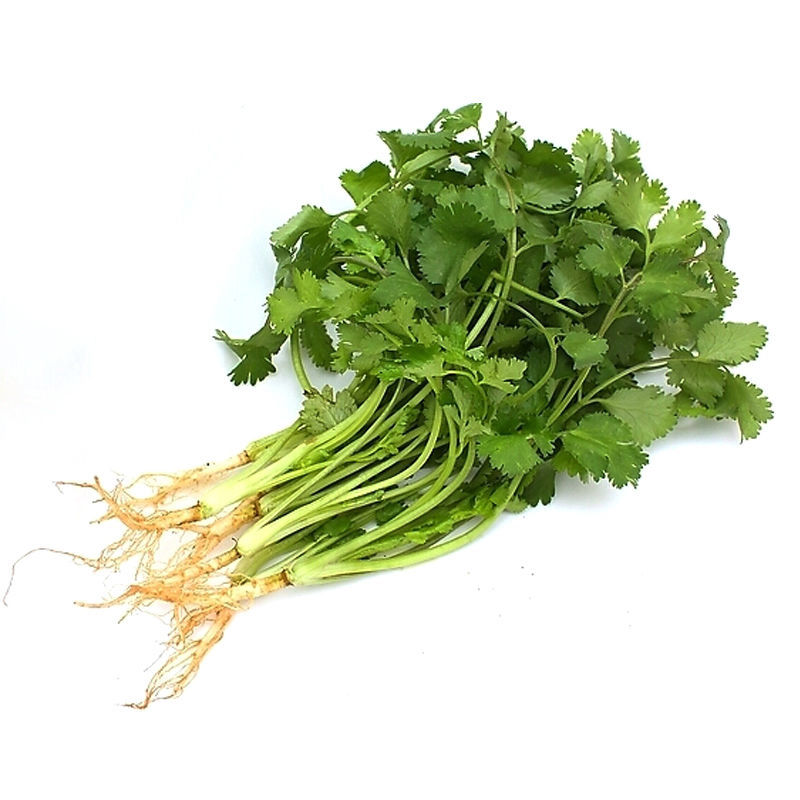 脱水蔬菜香菜干罐装大蒜叶香葱圈干香菜叶小米葱干农家干货调味品小米