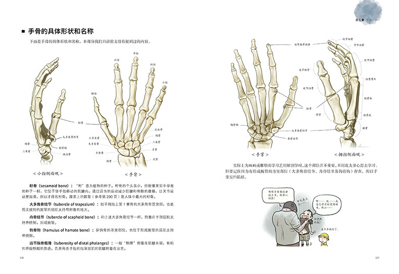 奈特人体解剖学图谱第七版pdf下载艺用解剖学笔记艺术绘画理论人体结构素描教程石政贤韩国李哲北京科学技术出版社官方旗舰店 券比三家