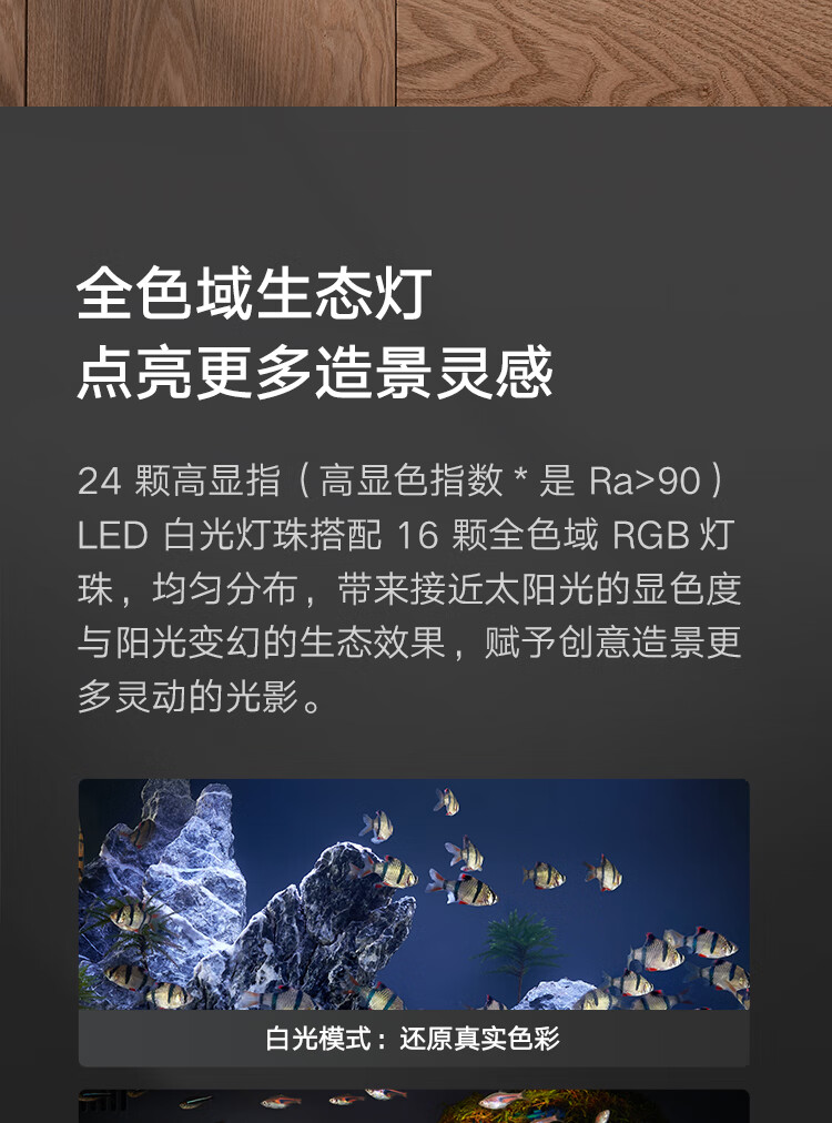 4f83a7173678cf5f.jpg