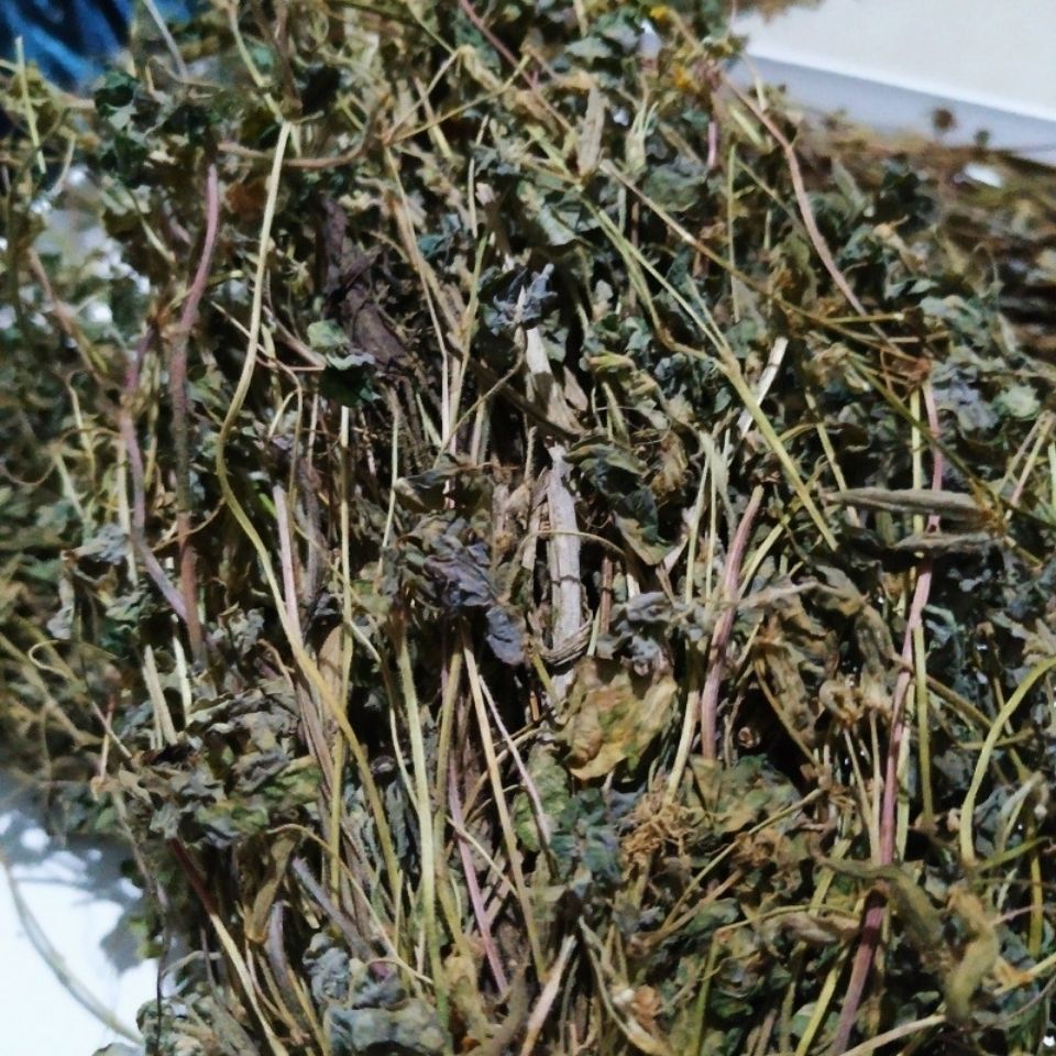 贵州省野生酢浆草500克 中草药材酸咪咪草三叶酸 咸酸草干品 500g