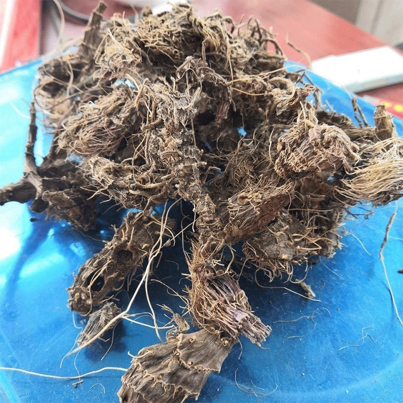 药声录yaoshenglu中药材九子连环草根珠串珠串白鸡连环草肉连环2罐共