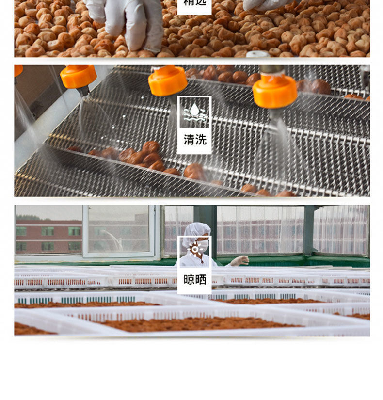 苏式话梅出口日本青梅干梅饼微酸甜中休闲零食单颗独立包装卫生苏式