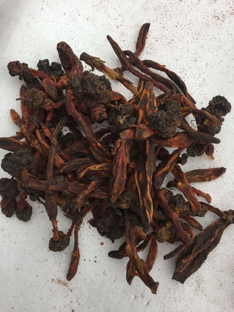 花初醒回春草 不老草 草丛容 顶天柱50克,500克酒料煲汤泡水 50克