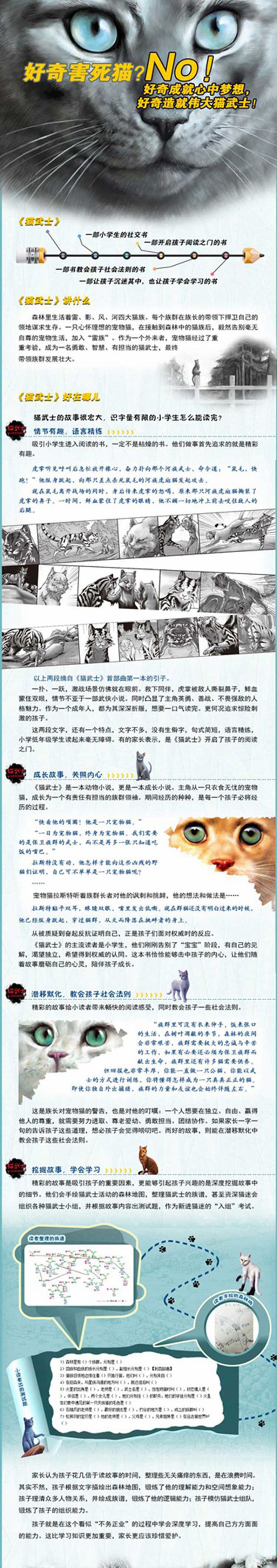 猫武士全部人物图片