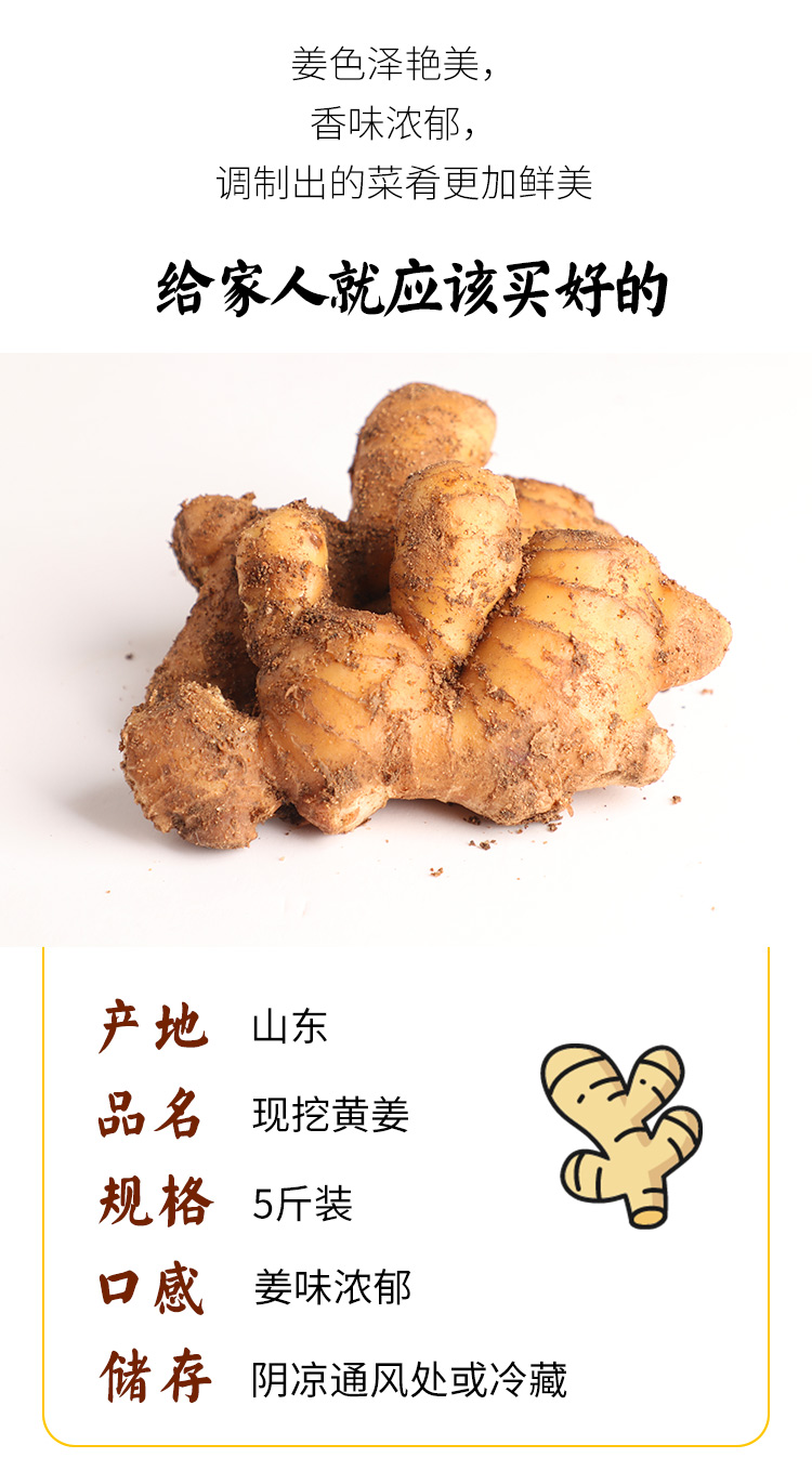 莲黛 顺丰速运 现挖生姜新鲜5斤黄姜当季蔬菜嫩姜山东老大沙姜鲜姜本