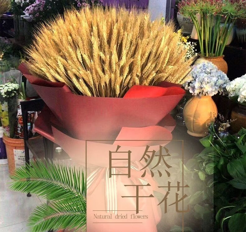 天然稻穗麦穗天然假花花束室内干花水稻客厅田园装饰五谷丰登摆件sn8
