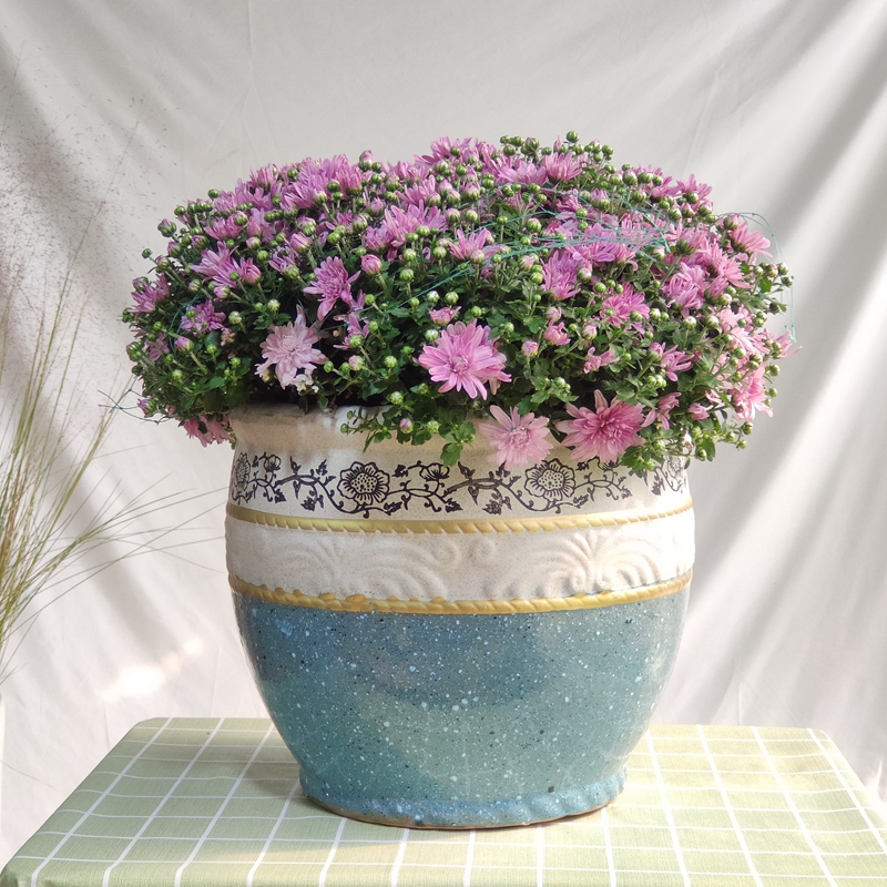 绣球花盆陶瓷大肚盆素烧粗陶大陶罐种树庭院别墅特大花缸40cm仿古陶罐