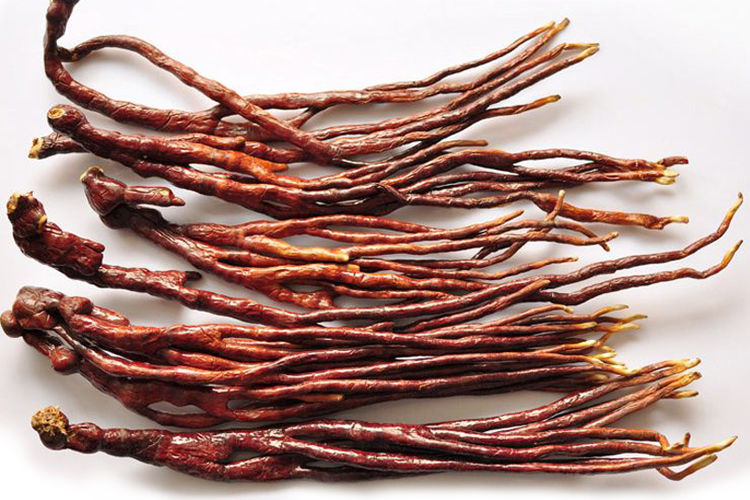 中药材 长白山灵芝草特/级 灵芝草250-500g 又名鹿角灵芝林芝 红灵芝