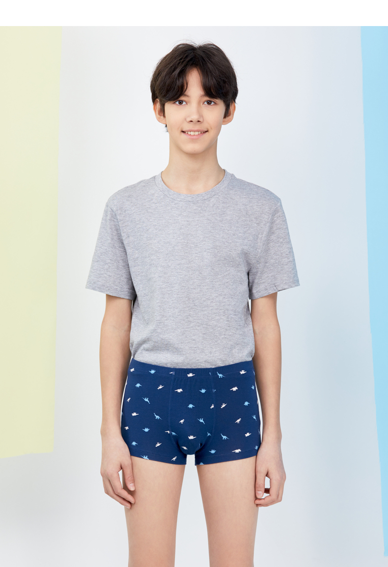 爱慕少年内裤男童莫代尔恐龙绅士中腰平角裤(两件包)j2233611 酷吼