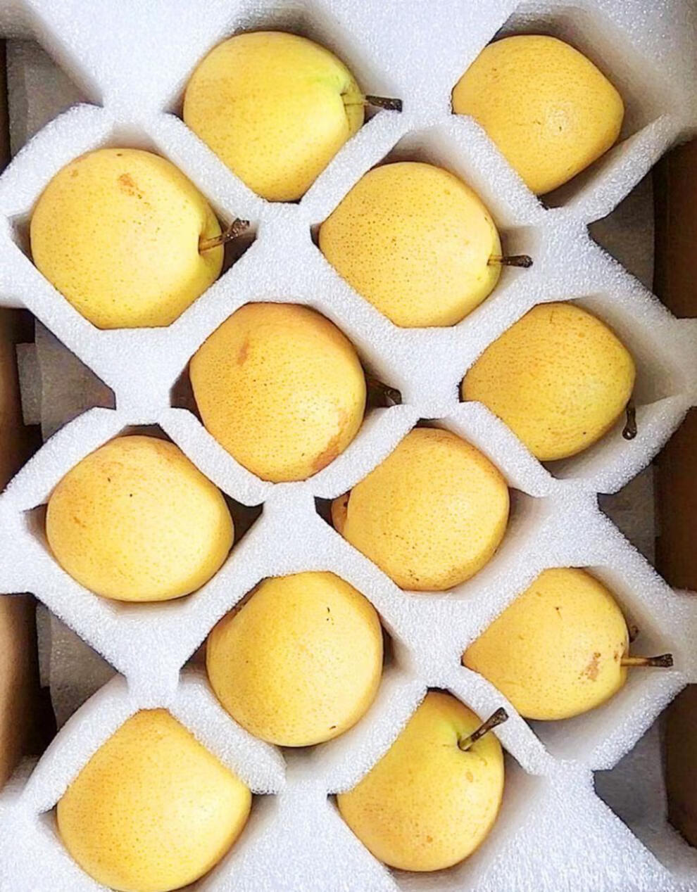 【百年梨园】细肉正宗海城新鲜红南国梨大果好吃的水果东北特产礼盒