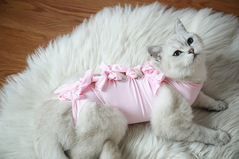 尤克达蒂猫咪绝育服猫咪母猫绝育服手术服断奶衣服棉布透气夏季薄宠物