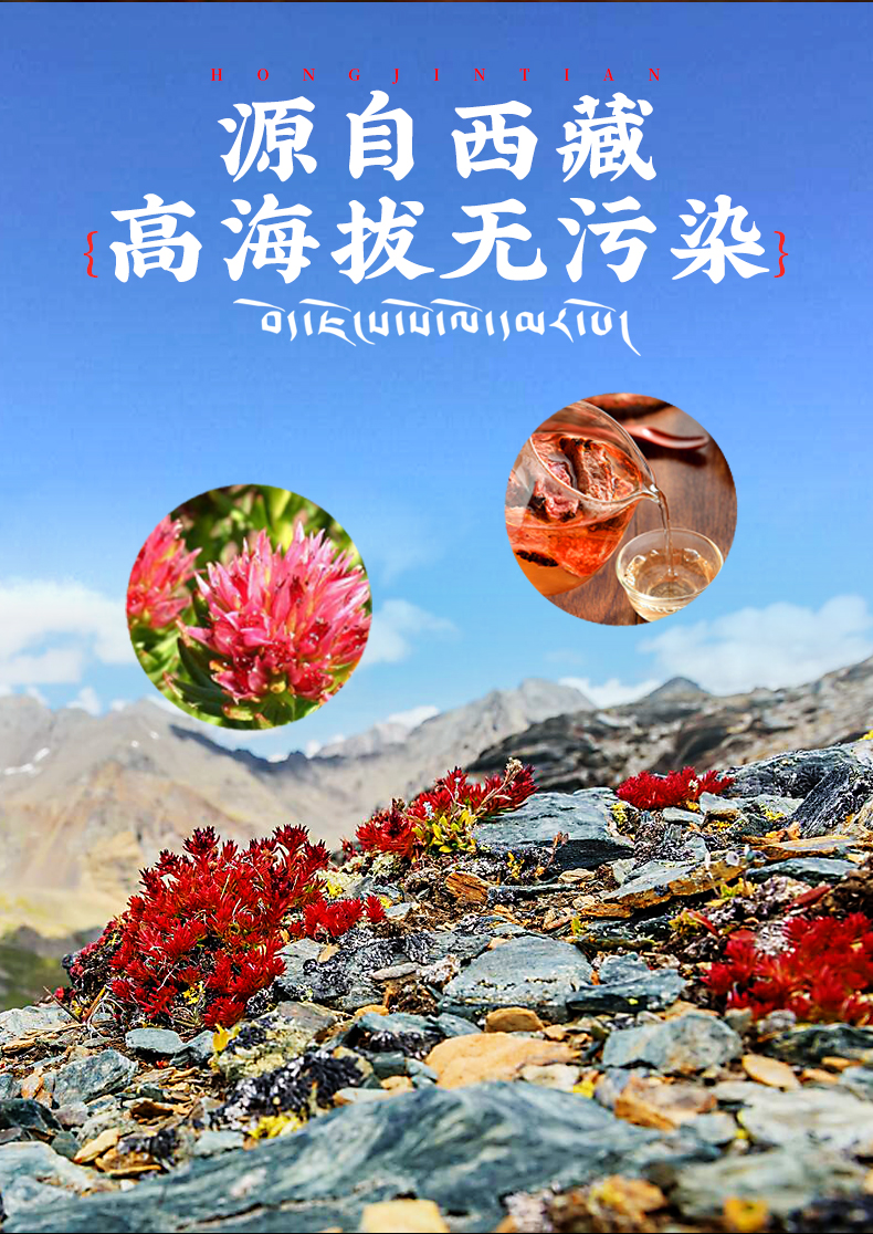 西藏天然大花红景天切片泡茶去皮特级抗高反中药材非胶囊500g