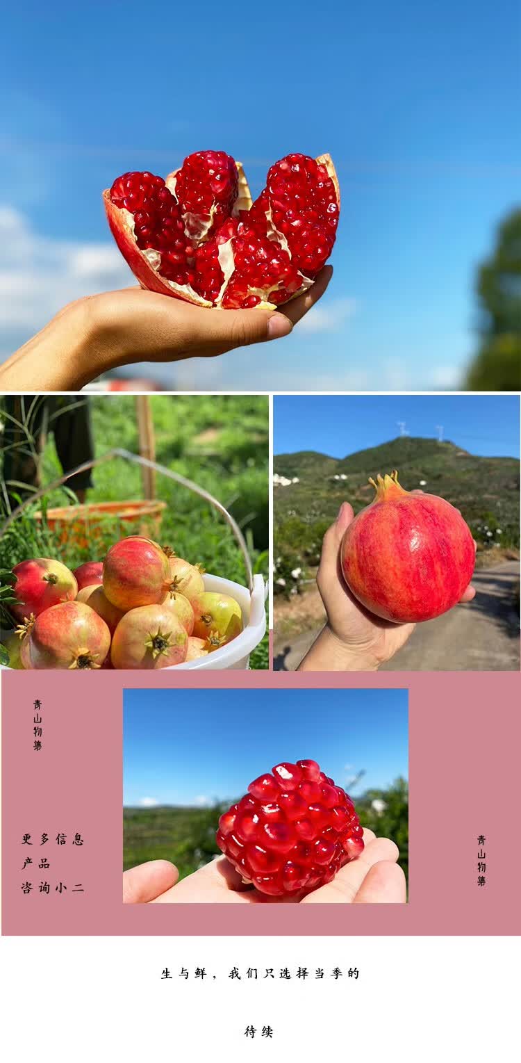 捷诚水果专营店商品编号:10061724890815商品名称:青山物集凉山会理