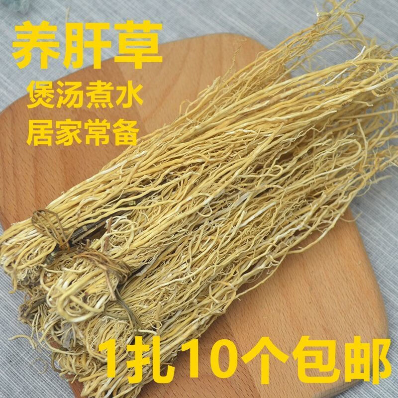 草龍鬚草養肝金草廣東煲湯材料滋補湯料燉湯藥材 1扎10個【圖片 價格